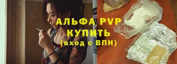 гидра Балахна