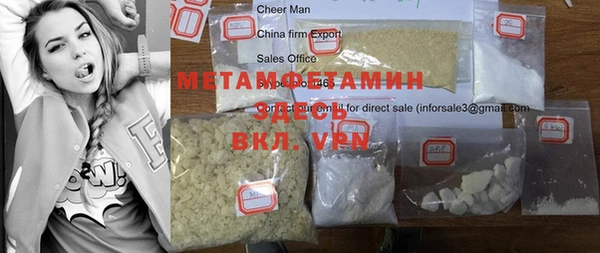 прущие грибы Магас