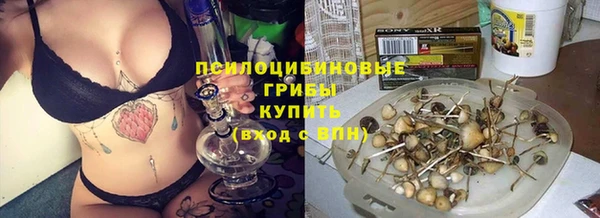 Альфа ПВП Лиски