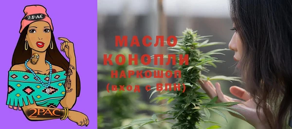дживик Козельск