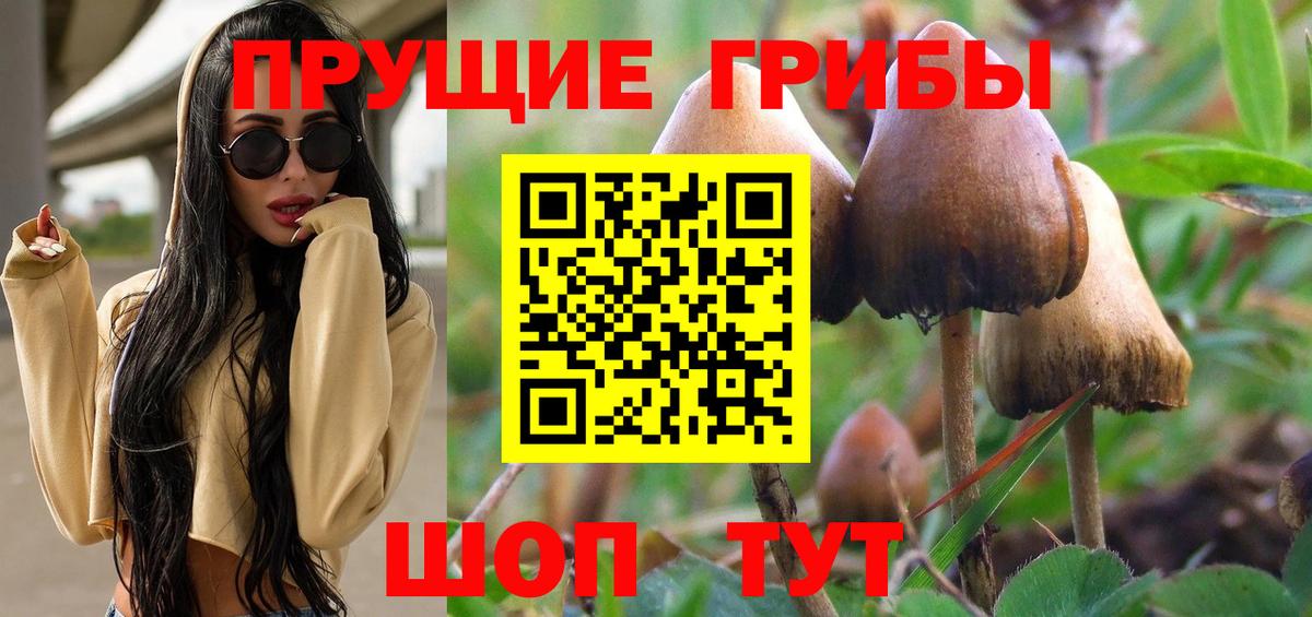 Галлюциногенные грибы мухоморы  Джанкой  цена   Псилоцибиновые грибы Cubensis 