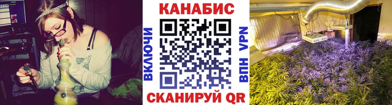 Бошки Шишки планчик  Джанкой 